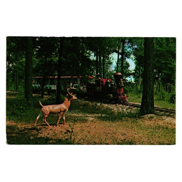 Vintage South Of The Border Postcard Train Deer Carolina Upper Mexico Robinson - Picture 1 of 2